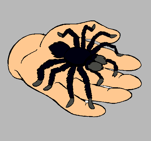 Tarántula