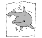 Dibujo Delfín pintado por pumi