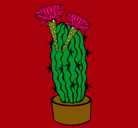 Dibujo Cactus con flores pintado por princessa9