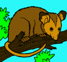 Dibujo Ardilla possum pintado por caila