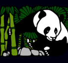 Dibujo Oso panda y bambú pintado por kippy