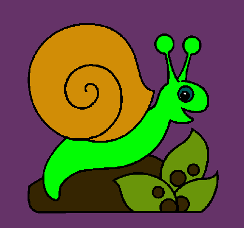 Caracol