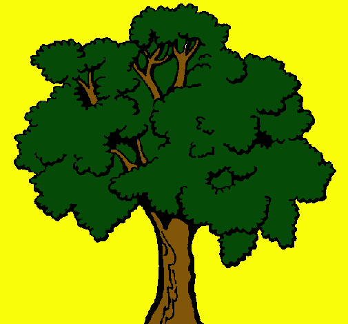 Árbol