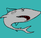 Dibujo Tiburón pintado por angle