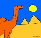 Dibujo Camello pintado por javieritaah12