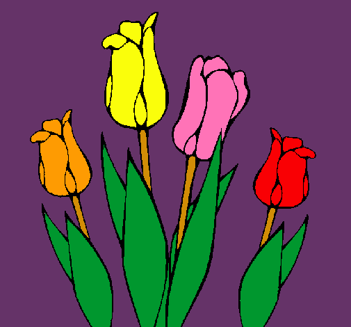 Tulipanes