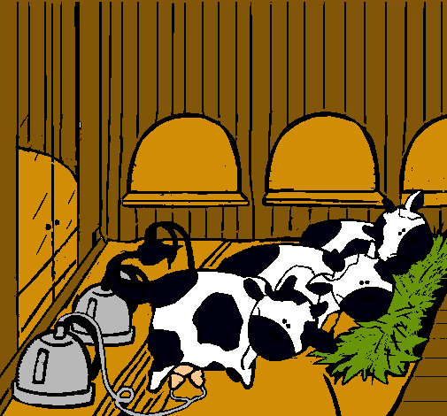 Vacas en el establo