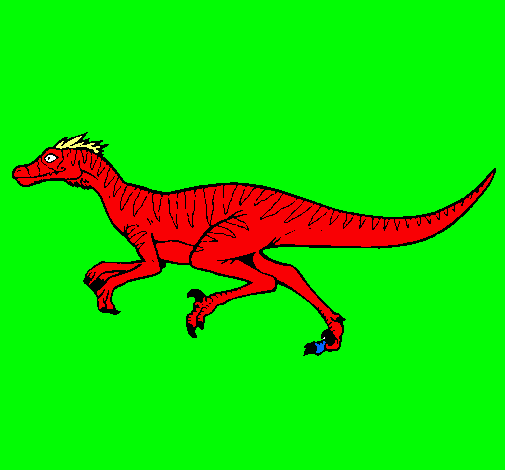 Velociraptor