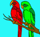 Dibujo Loros pintado por avatar