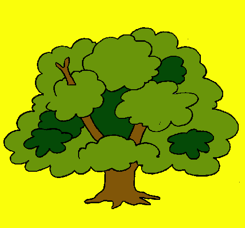 Árbol