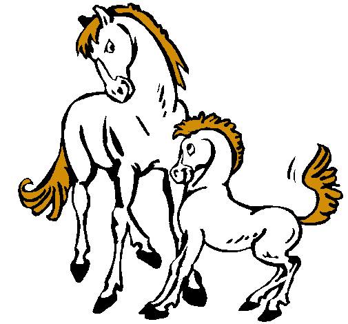 Caballos