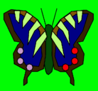 Dibujo Mariposa pintado por MATEORN