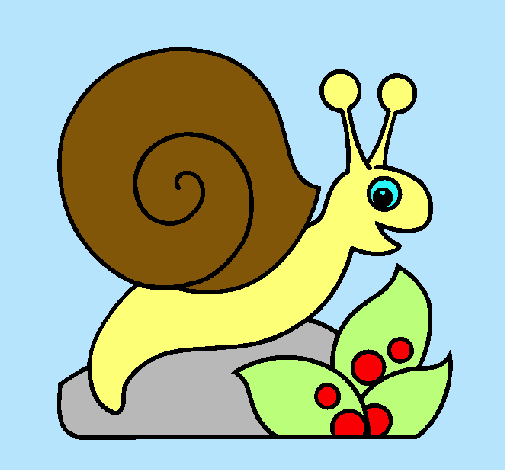 Caracol