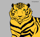 Dibujo Tigre pintado por Loya