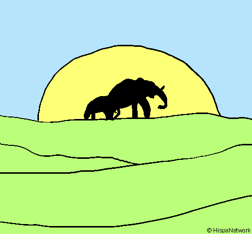 Elefante en el amanecer