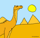 Dibujo Camello pintado por Anto265
