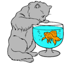 Dibujo Gato mirando al pez pintado por coraline