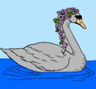 Dibujo Cisne con flores pintado por jhggfvghn