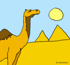 Dibujo Camello pintado por yibley