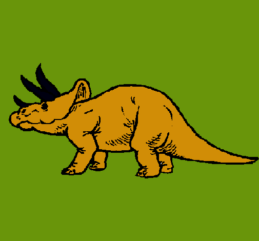 Triceratops