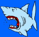 Dibujo Tiburón pintado por jorenri