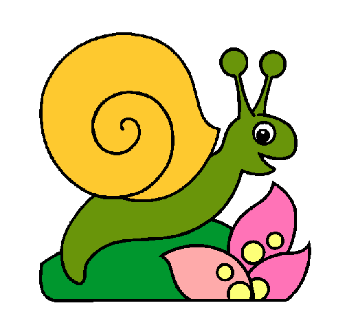 Caracol