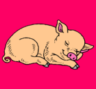 Dibujo Cerdo durmiendo pintado por poodle 