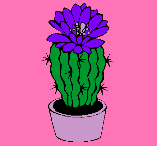 Cactus con flor