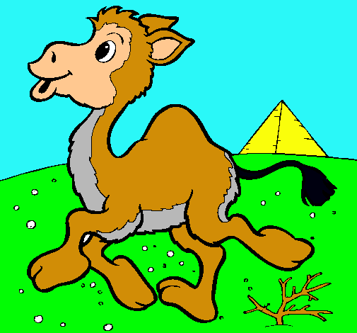 Dibujo Camello pintado por ALE2004