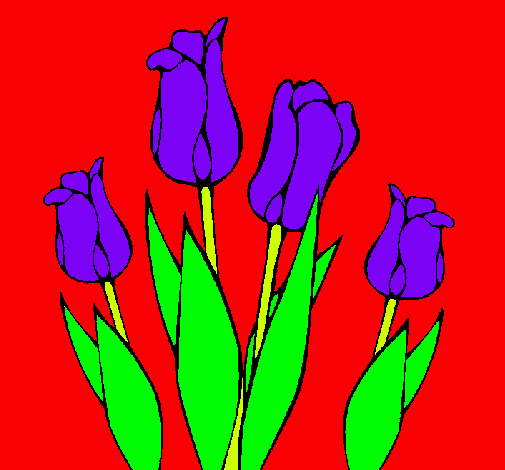 Tulipanes