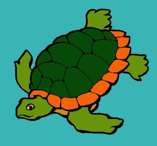 Tortuga