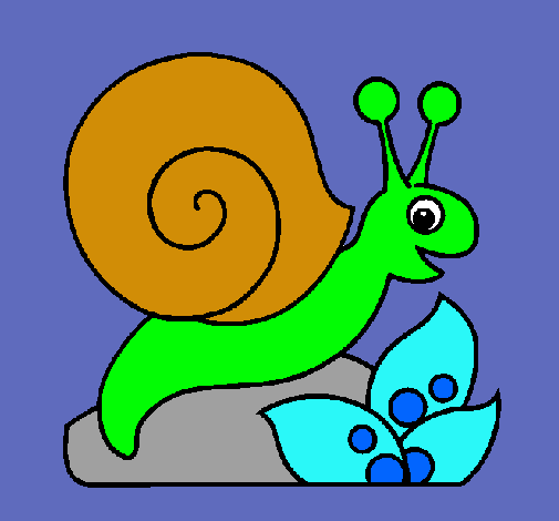 Caracol