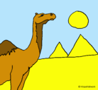Dibujo Camello pintado por papapapapa