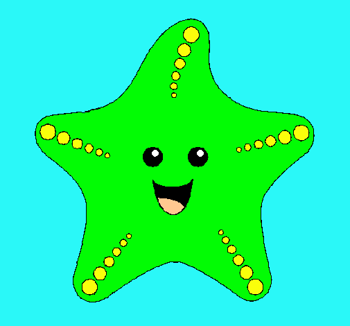 Estrella de mar