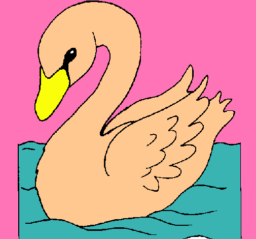 Cisne