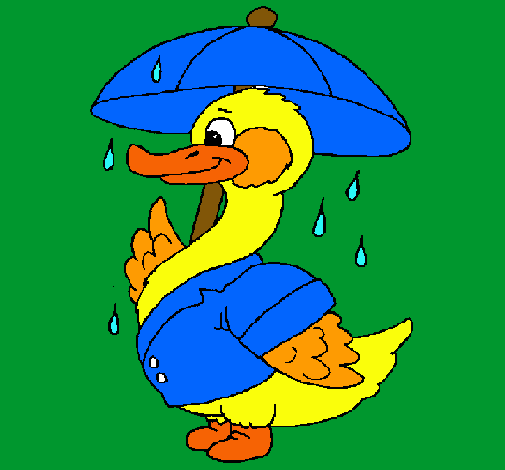 Pato bajo la lluvia