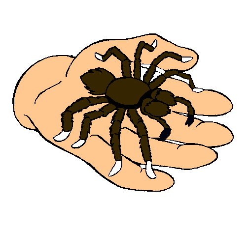 Tarántula