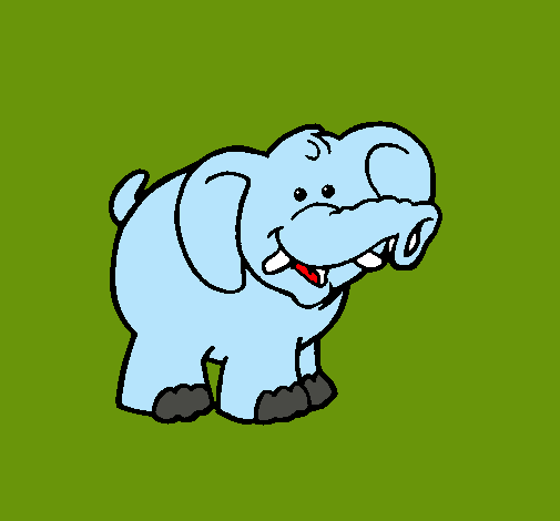 Elefante