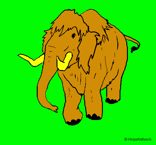 Mamut II