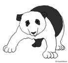 Dibujo Oso panda pintado por pinkigrama