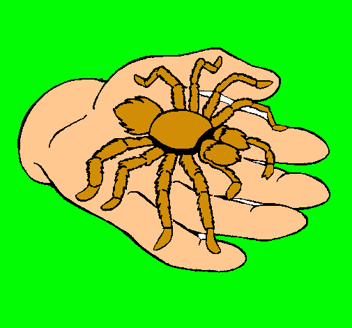 Tarántula