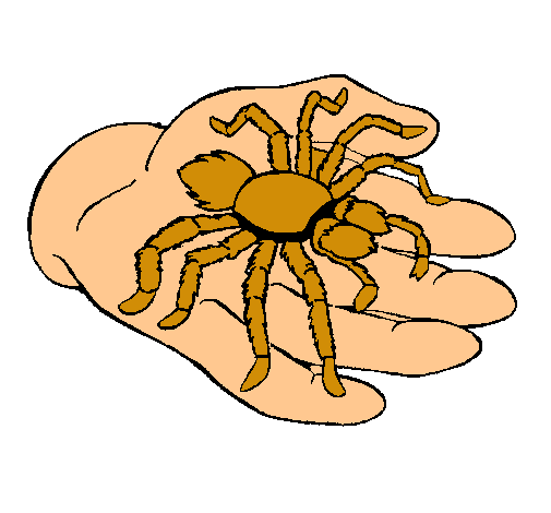 Tarántula