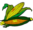 Dibujo Mazorca de maíz pintado por Albiita