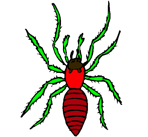 Araña tigre