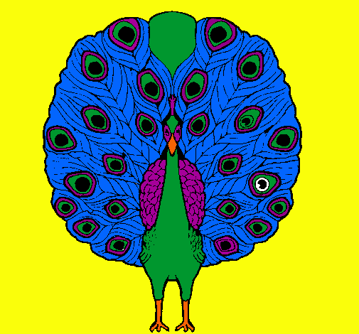 Pavo real