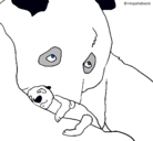 Dibujo Oso panda con su cria pintado por PiPo