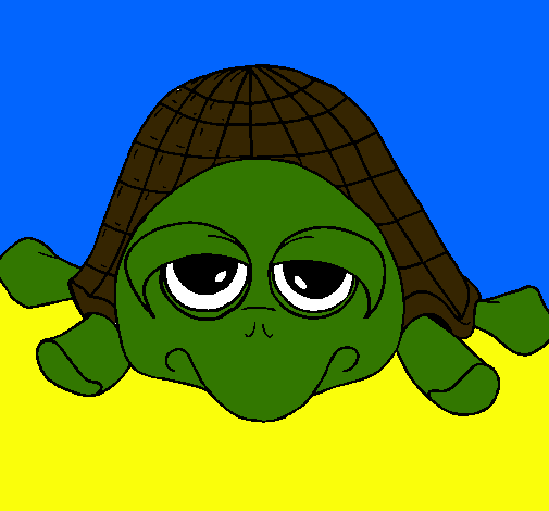 Tortuga