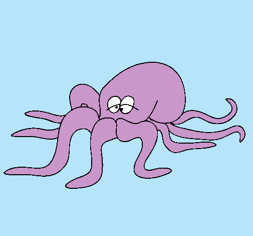 Pulpo