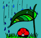 Dibujo Mariquita protegida de la lluvia pintado por campanita_ximen