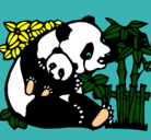 Dibujo Mama panda pintado por vazquius